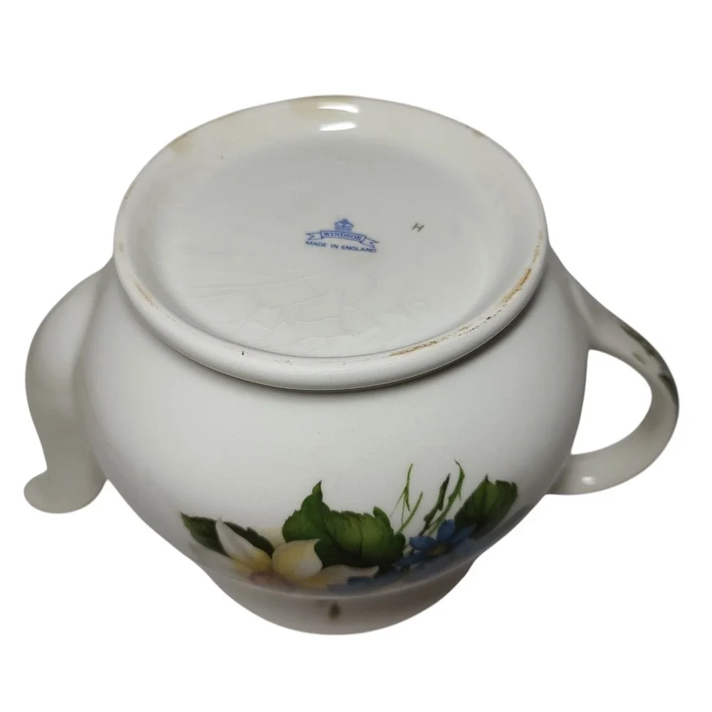 Sadler Windsor Floral Teapot Lidded Iris Daffodils Spring Flowers England 6.5 In